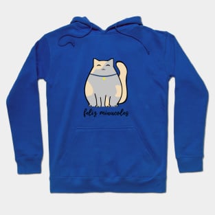 Feliz Miau-coles Happy Wednesday in Spanish Hoodie